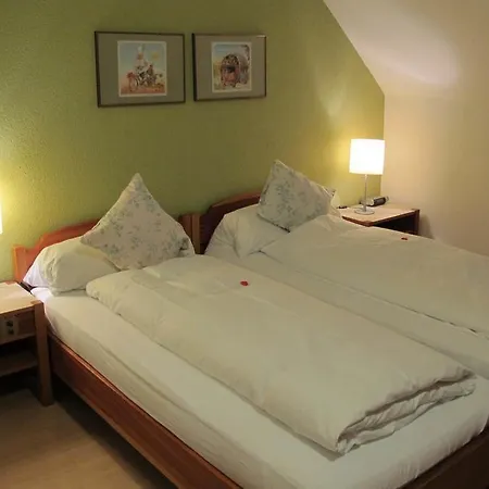 Hotel Baeren